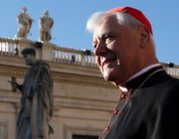 Cardinal Müller